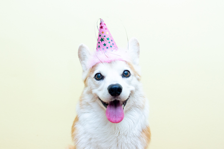 Happy birthday to everyone celebrating in June! ☀️🎂 Wishing you a year of joy, success, and all good things. 🎈