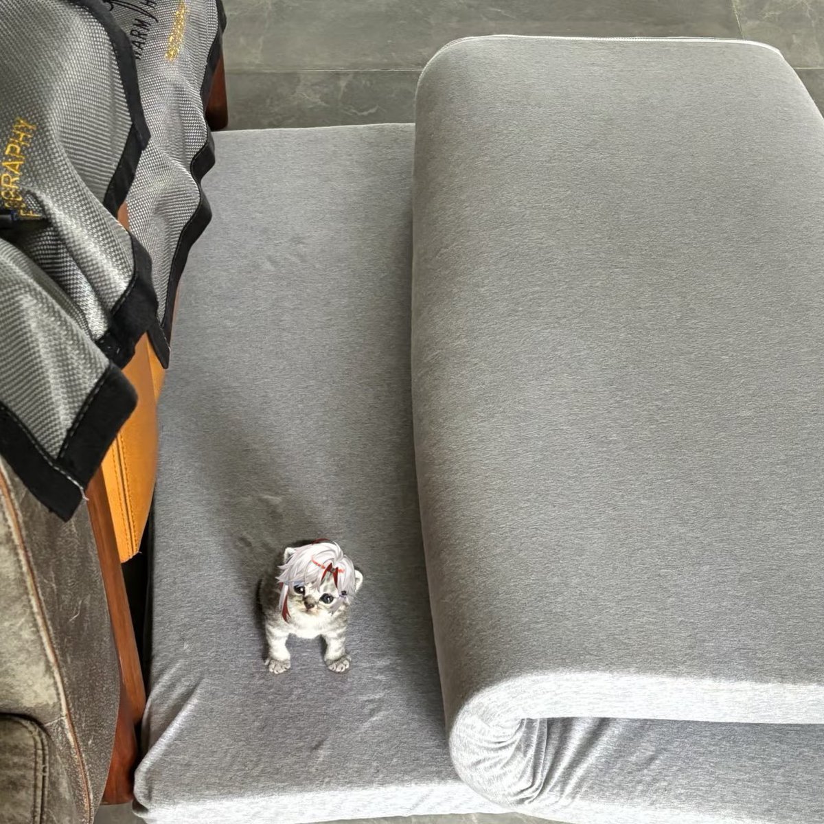 เจ๋🩹 tweet media