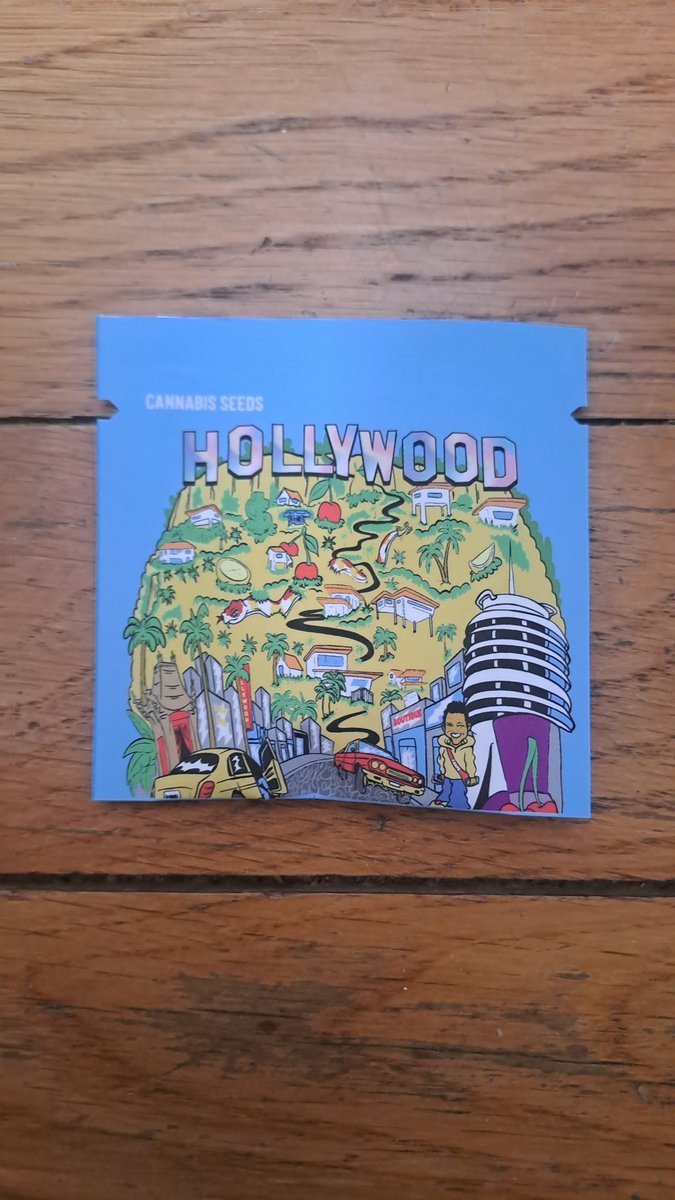 TempusfugitGen's tweet photo. I am going to help you win some exceptional seed packs.
Pink Runtz X Hollywood 
from @berner415

📋 How to enter:

1. Tag 3 friends in the comments. (Enter as many times as you like!)

2. Follow me

3. Like this post.

When I reach 1000 followers, a winner will be drawn. https://t.co/lF79pyDVcM