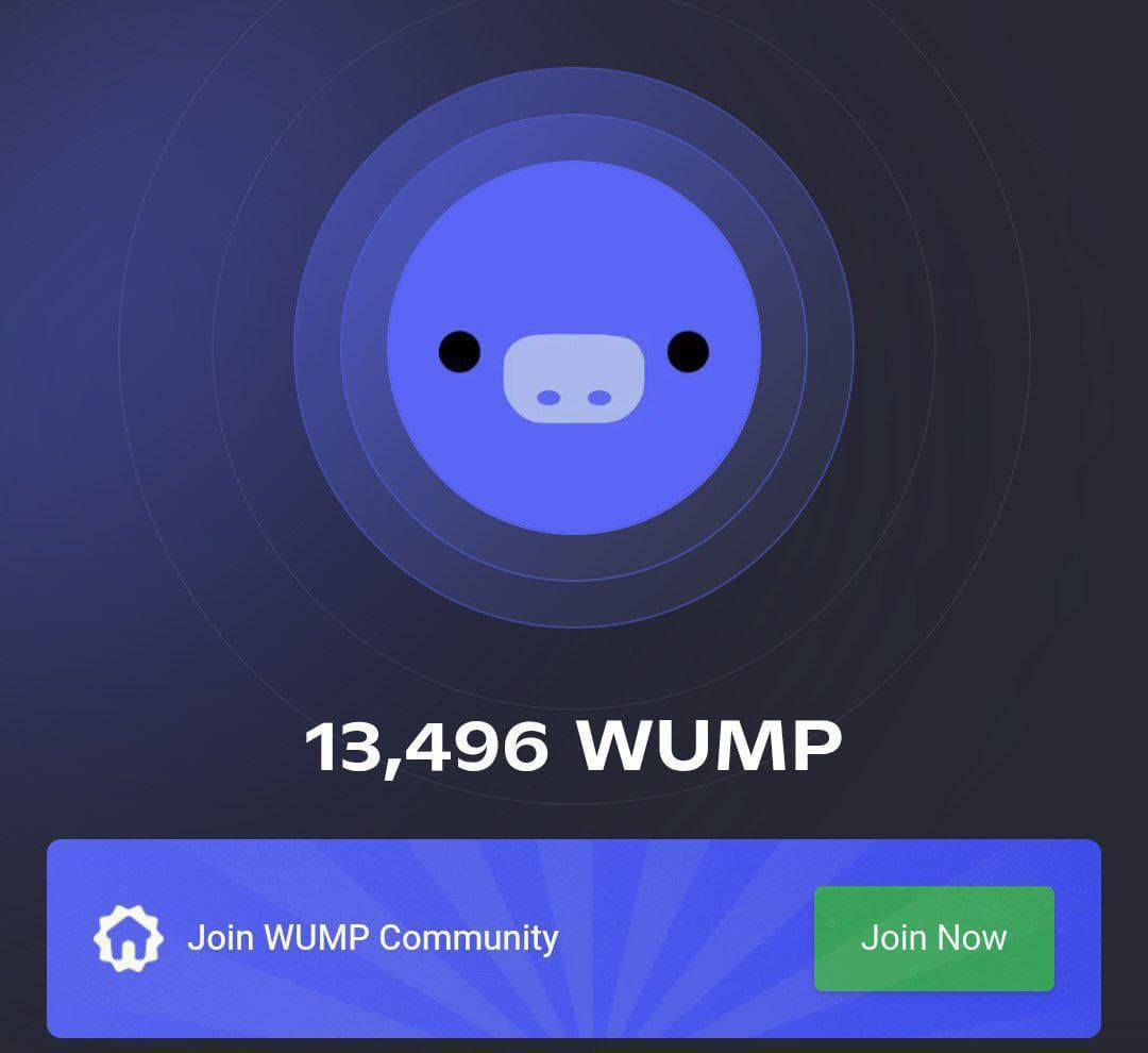 Earning121 tweet media