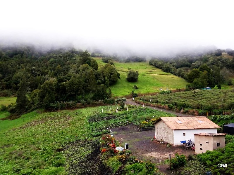 Hoy hacemos un reconocimiento a quienes, con sus manos y saberes 🧑‍🌾👩‍🌾, impulsan la economía, alimentan al país y preservan nuestras tradiciones rurales. #DíaDelCampesinado! 🌾🇨🇴🌱