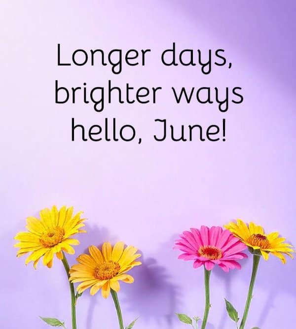 PowerhouseAriel's tweet image. 🌞 Hello, June! 🌼

Longer days, brighter ways, and new beginnings. Let this month be filled with sunshine, smiles, &amp;amp; success. 💛

#HelloJune #NewMonth #June #WelcomeJune #JuneVibes #NewMonthNewGoals #JuneFeels #JuneIsHere #SummerVibes #JuneSunshine #SunshineSeason #BloomInJune