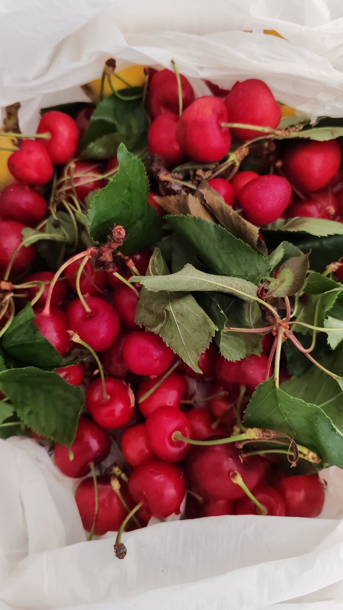 Anch'io vi saluto 🍒