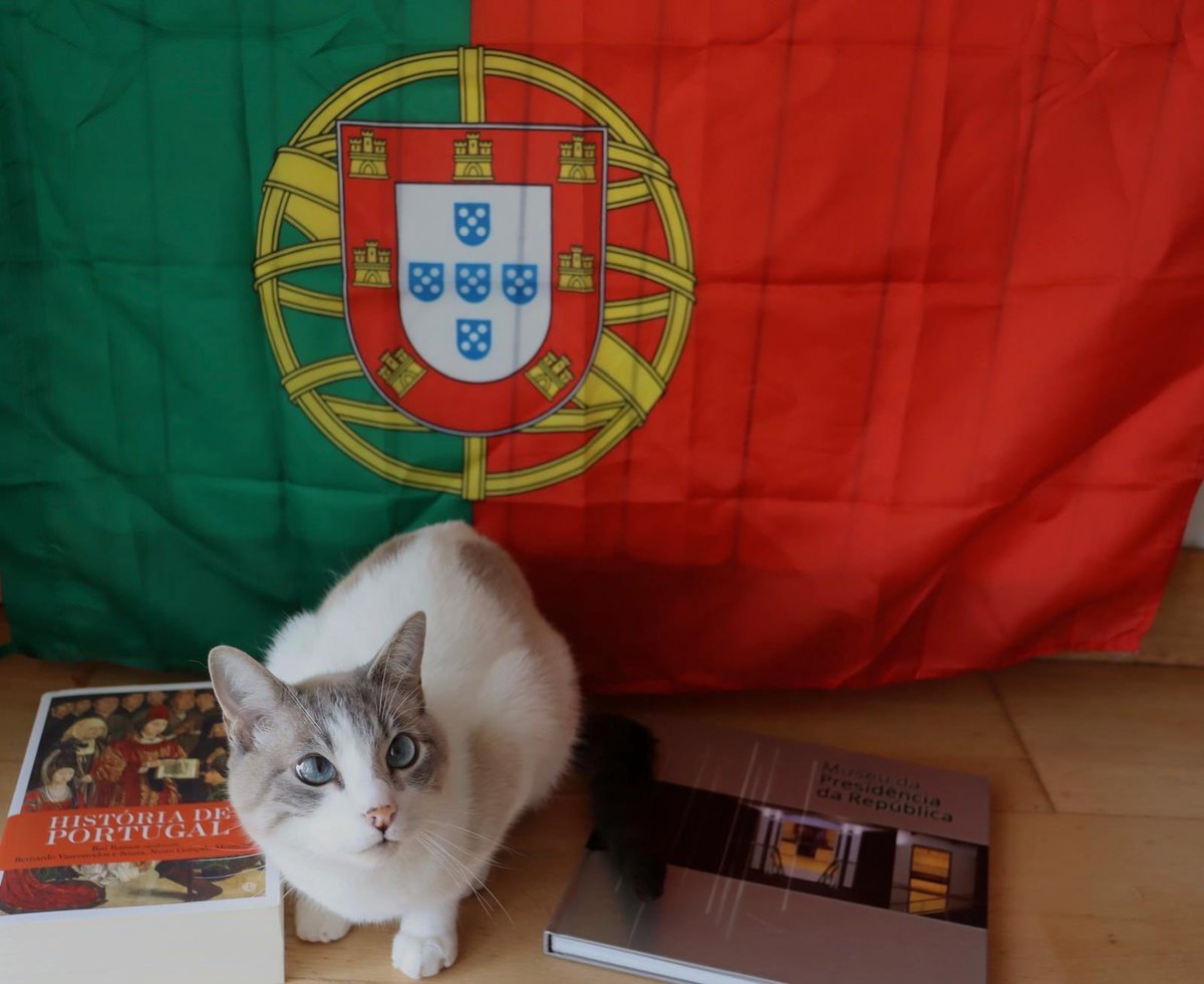 Rui Rio tweet media