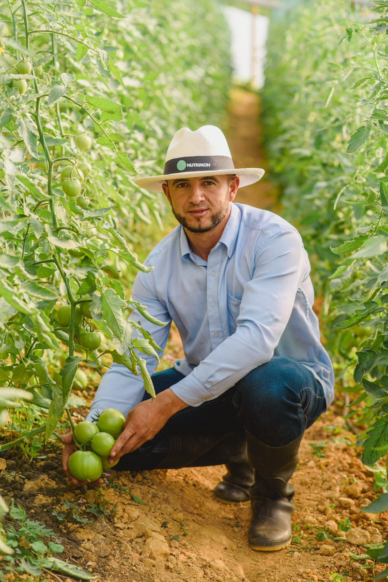 En el #DíadelCampesino, Monómeros y sus fertilizantes de marca mayor, Nutrimón y Ecofértil, honra a quienes son la fuerza que siembra futuro con alegría, con corazón.