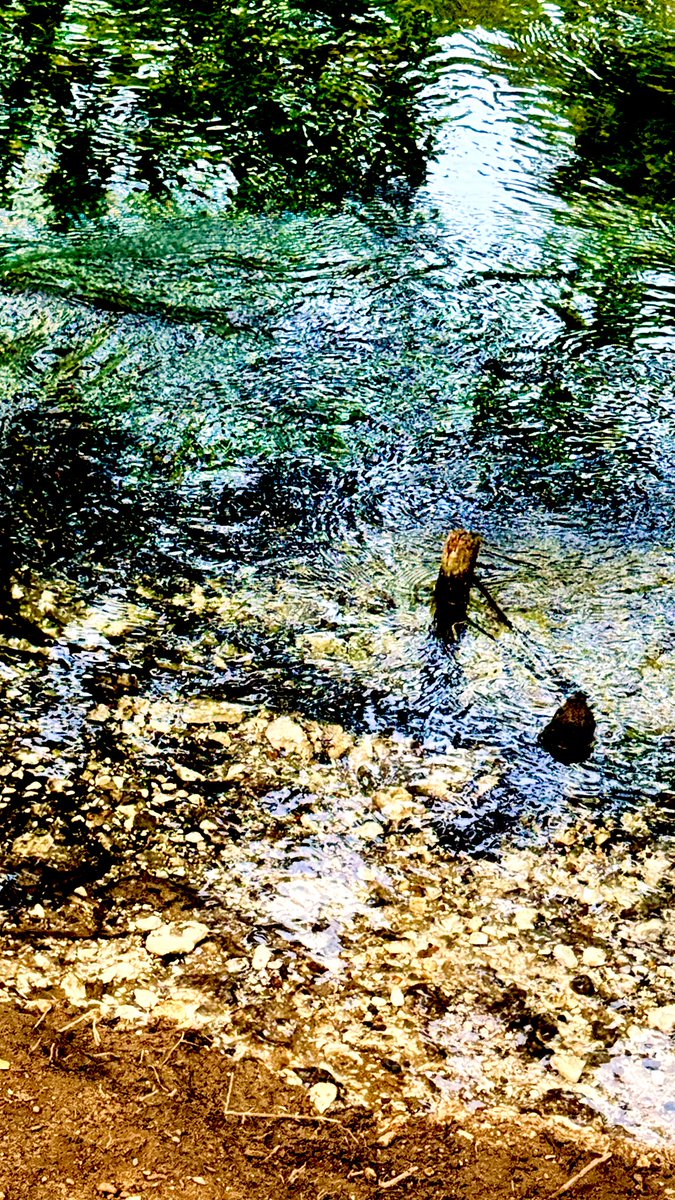 jaysonstreet's tweet image. Just like @BSidesBSK, @VicHarkness showed me you can’t visit Basingstoke without being involved with ducks!!! Now this is what I call a #DuckArmyInvasion And this was only the beginning! 😁