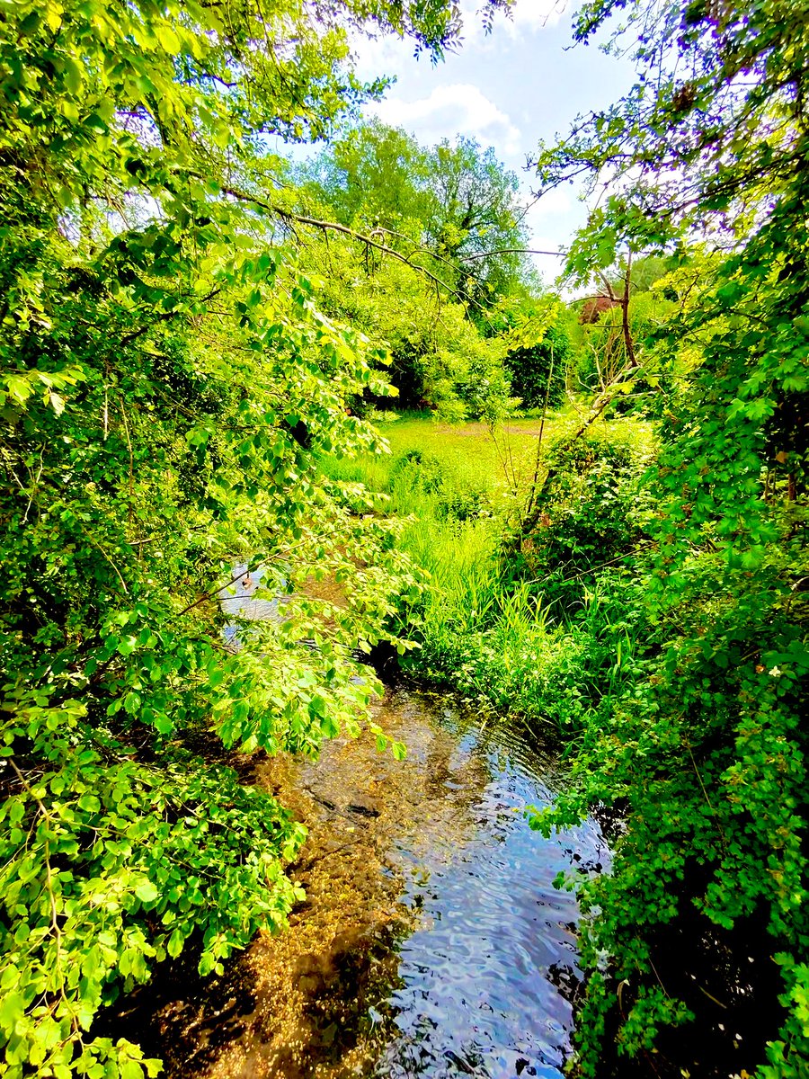 jaysonstreet's tweet image. Just like @BSidesBSK, @VicHarkness showed me you can’t visit Basingstoke without being involved with ducks!!! Now this is what I call a #DuckArmyInvasion And this was only the beginning! 😁