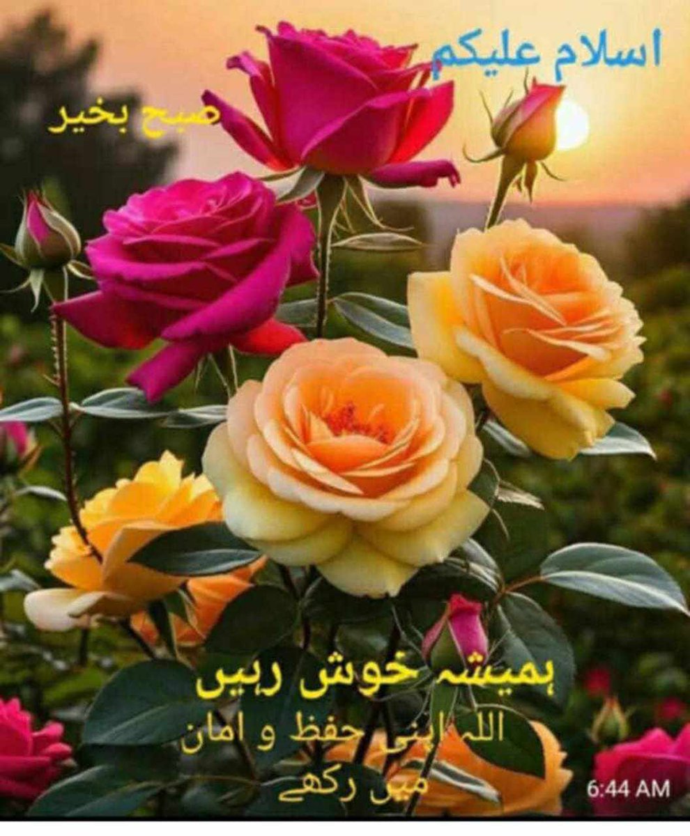 القرآن - سورۃ نمبر 33 الأحزاب
آیت نمبر 70،71

ترجمہ:
اے ایمان والو ! اللہ سے ڈرتے رہو اور بات صاف سیدھی کیا کرو
(اس طرح) اللہ تعالیٰ تمہارے اعمال  کو درست کردے گا اور تمہارے گناہ معاف کردے گا۔ اور جس شخص نے اللہ اور اس کے رسول کا کہا مان لیا اس نے بڑی کامیابی حاصل کرلی۔