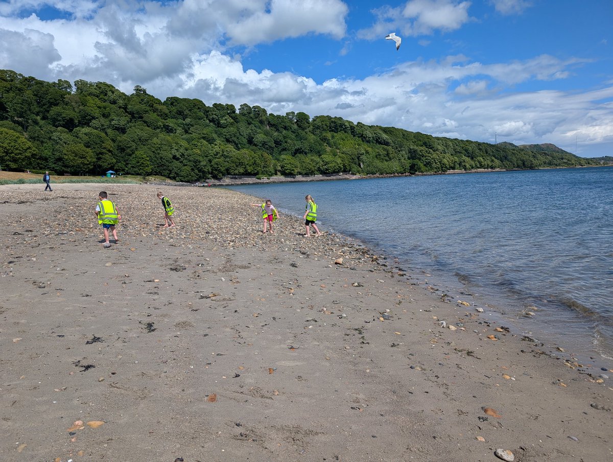 MrsSigurdsson's tweet photo. On Wednesday we had our whole school trip to the beach. P2 had a fantastic time on the sand, paddling, finding shells &amp; sea creatures. We even had ice lollies as a treat 😋Apart from 1 brief shower, the sun shone all day for us 🏖️🪣🐚🌞🦀🌊🪼#DunipaceUNCRC
#Article31 #Article24 https://t.co/ZjOOB3BWgw