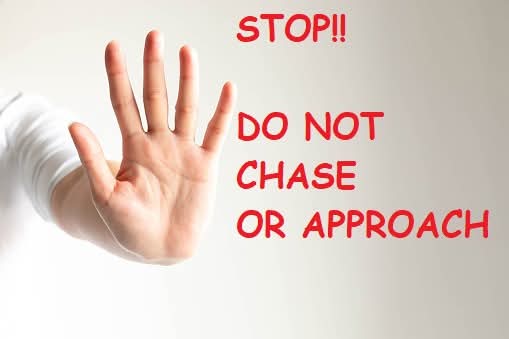 🙏MISSING SINCE JAN 2025 - Please Retweet To Help Find Timmy For His Elderly Owner🙏

Timmy is a support dog for his owner who has #dementia We need to get him home

doglost.co.uk/dog-blog.php?d…

📍Missing from Gayton Heights, #enderby #Leicester L19

🗓 Missing Since 31.1.25

📞