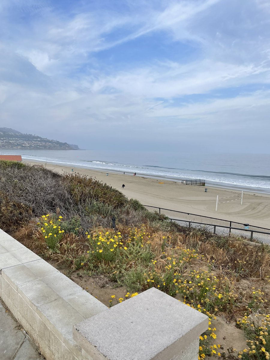 Morning walk to start the first day of June. #morningwalk #oceanview