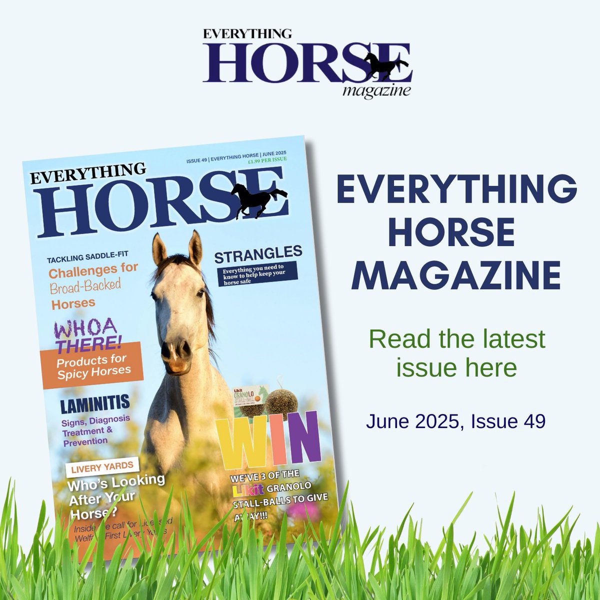 😍 June's Everything Horse Magazine *Issue 49* has just dropped - read it here online.fliphtml5.com/oevzu/wpzd/
#Magazine #horselovers #Horses
