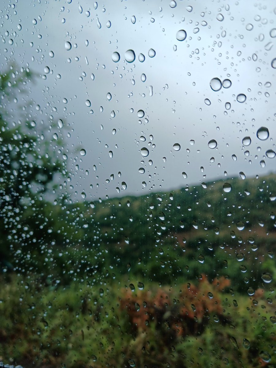 çayır çimen geze geze of