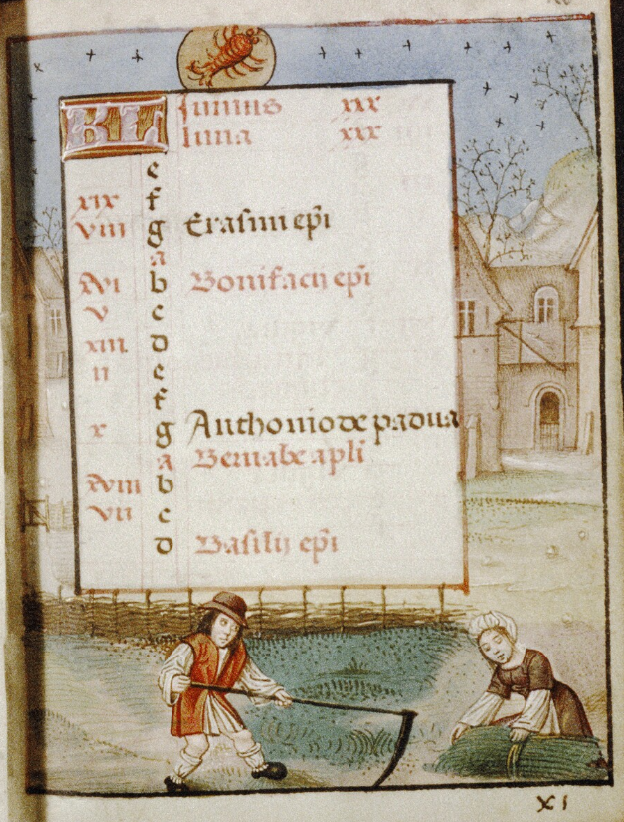 ClerkofOxford's tweet photo. In medieval calendars, the usual scene to represent the month of June is people cutting the grass - in varying states of undress.

(Images from four calendars for June: BL Lansdowne 383 &amp; Harley 2915, Bodleian Auct. D. inf. 2. 11 &amp; Douce 8) https://t.co/kVQn8S1uF1