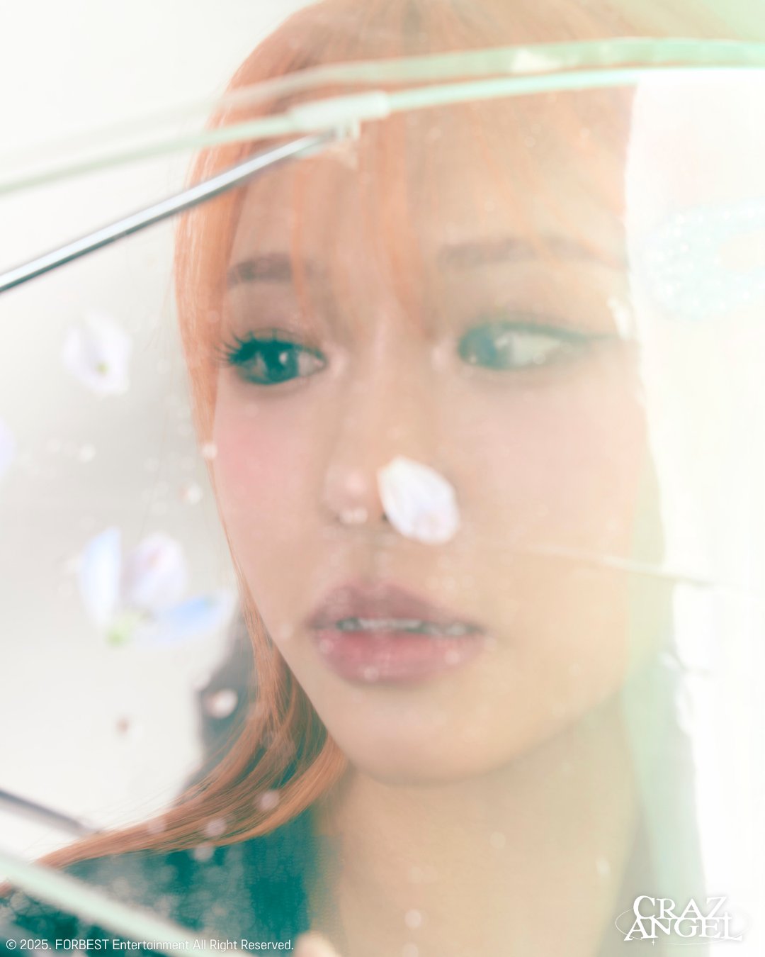 GsXm6T-bQAA86qW?format=jpg&name=large