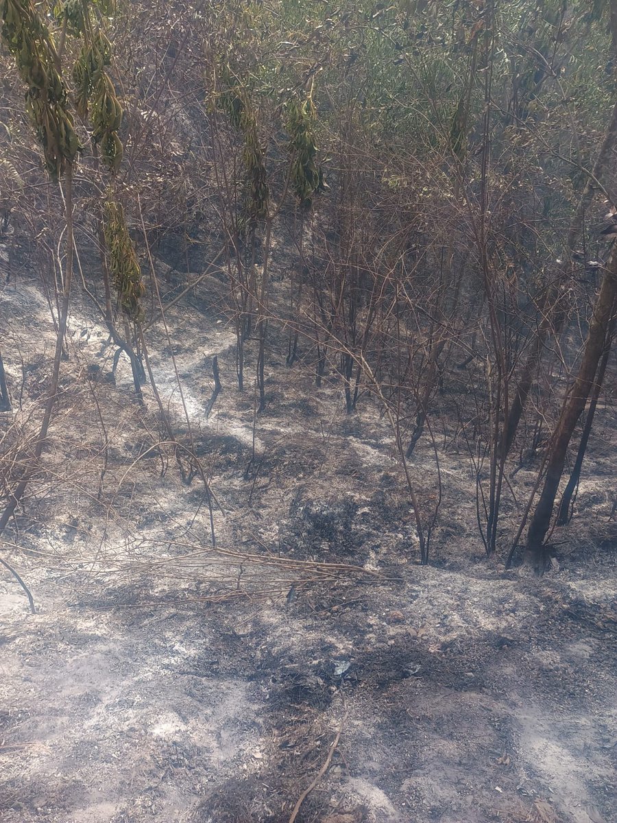 #Quiché Finaliza la fase de liquidación del incendio en Choaxan II, Chinique, Quiché. 

Fotografías: Sistema CONRED