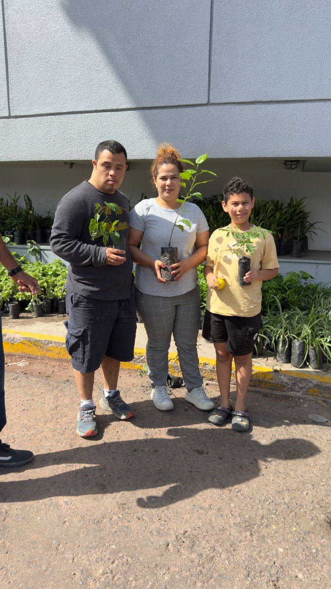 ¡Te estamos esperando! 🌳
Acércate a la primera entrega de árboles de #PlantatónHn y ayúdanos a reverdecer Honduras.