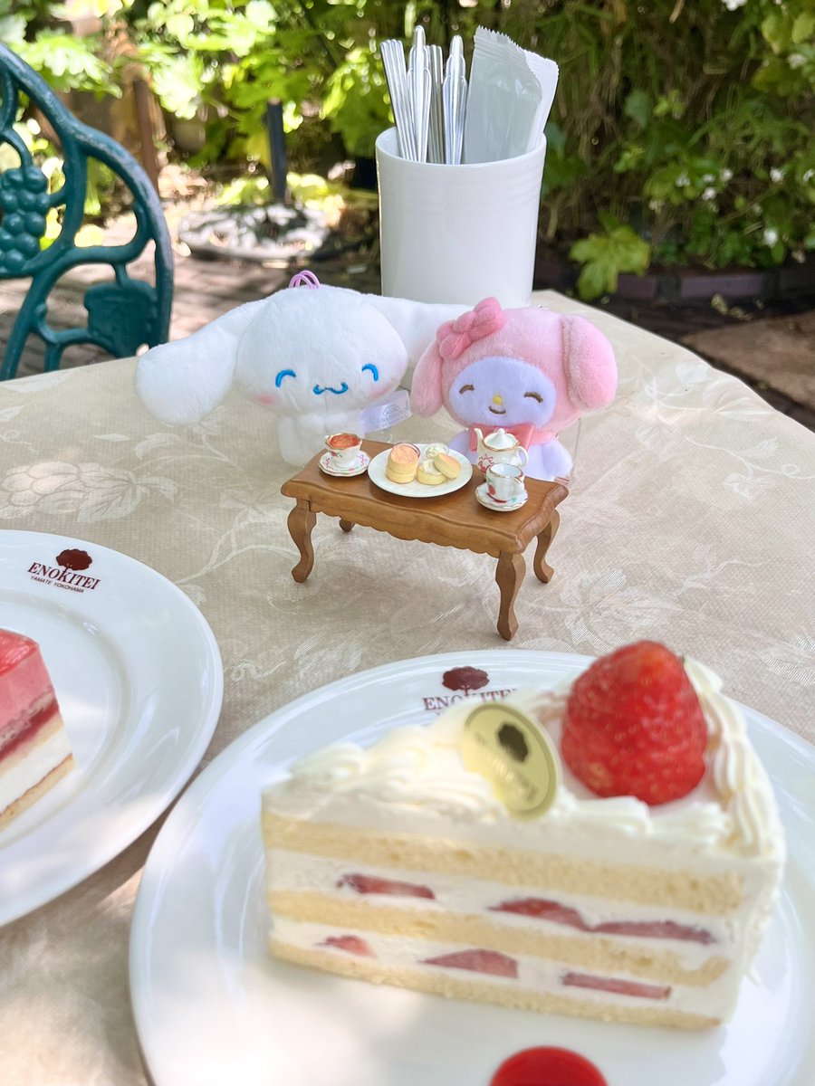 つきみんとシナモンとまいめろちゃんとにこにこなお出かけ☺️☺️梅雨前に春楽しめてよかった🌹