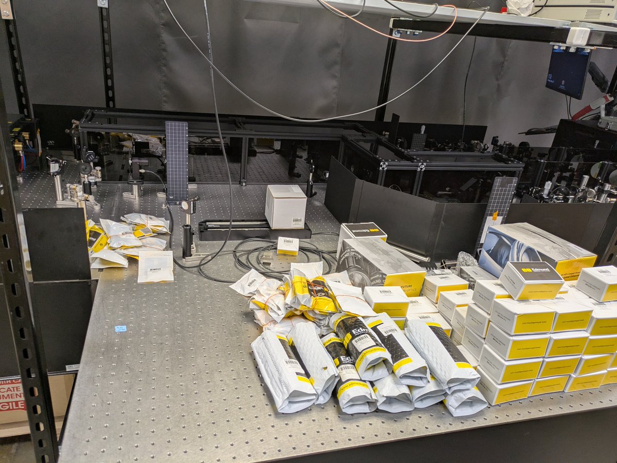 Grieco Lab tweet media