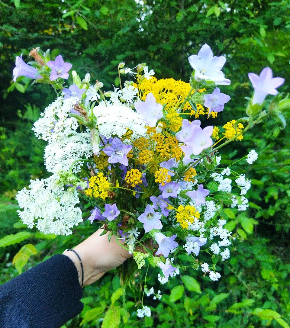 Eda2405's tweet photo. @Raskolnikovsair 💐 https://t.co/ehCglkZ4SS