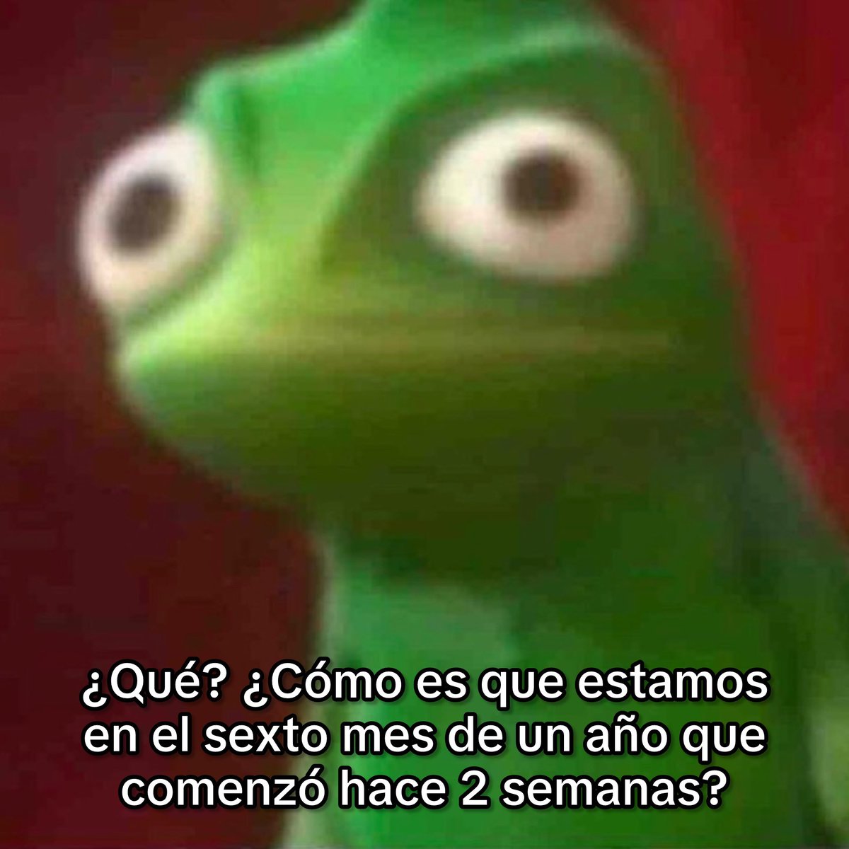¿¿Quueeé??