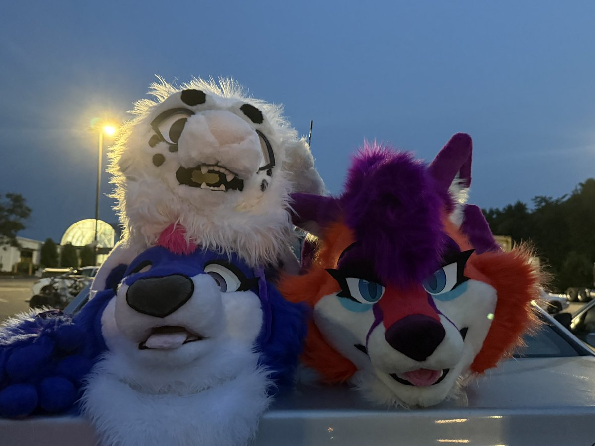 Had so much fun at the meet yesterday! I’m looking forward to many more, and hoping I get to see all of these goofy animals even more! ❤️💙