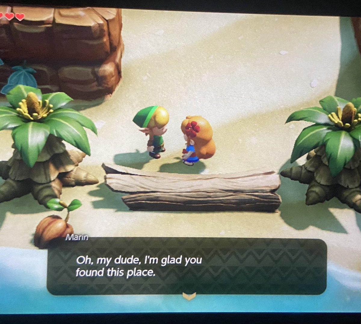 pro tip - name Link ‘my dude’ to make your play throughs instantly chill