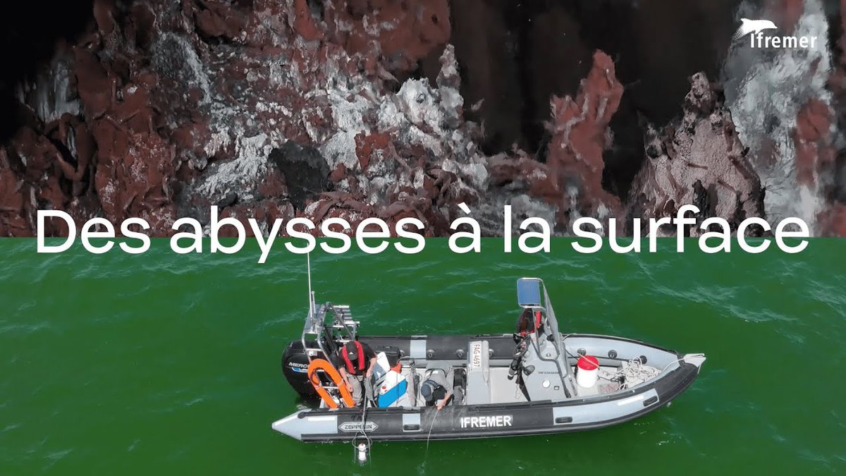 Ifremer_fr's tweet photo. C'était difficile de faire tenir en 3 minutes toutes nos compétences en sciences océaniques et notre large ancrage géographique... Mais on l'a fait.

Découvrez l'#Ifremer 👇

https://t.co/xKys7TQQtV https://t.co/pn7FaDQAc0