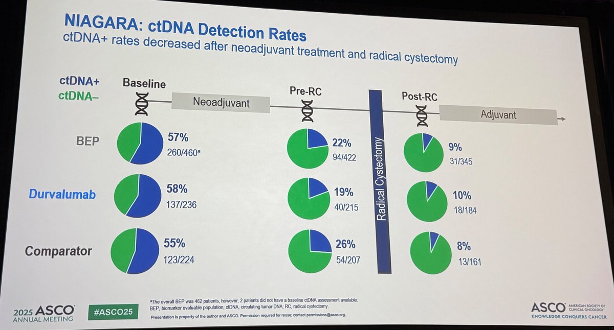 MikeSerzanMD's tweet photo. 🗣️Bladder Cancer Oral Abstracts #ASCO25
👉Abs4503: Dr @tompowles1 presenting ctDNA pts w/ MIBC on perioperative #durvalumab from #NIAGARA
N = 1063
cisplatin-eligible pts with MIBC (cT2-T4aN0/1M0)
Biomarker Eligible = 462
💉#Durva + NAC (GC) x4 ->RC -> #Durva x 8 cycles (D)
💉 NAC (CG) x4 -> RC alone (C arm)
🧬Plasma ctDNA (Signatera (MRD) assay)
🩸 Baseline ctDNA(+) = 57% (260/460)
🩸 Pre-RC. ctDNA(+) = 22% (94/422)
🩸 Post-RC ctDNA(+) = 9% (31/345)
ctDNA clearance rates: bl-> pre-RC
Durva + GC = 41%
GC Alone = 31%
🔬In pts w/ pre-RC ctDNA+
non-pCR rate = 97% (86/89)
✅EFS benefit for #Durva + GC vs GC
baseline ctDNA+ = 0.73 (0.51–1.06)
baseline ctDNA− = 0.45 (0.25–0.84)
✅DFS benefit for #Durva + GC vs GC
post-RC ctDNA+ = NC (too few events)
post-RC ctDNA− = 0.49 (0.28–0.84)
🩺Clinical implications:
- ctDNA+ at pre-RC associated with non-pCR (97%; 86/89)
- ctDNA clearance bl->pre-RC: #Durva +GC (41%) vs GC (31%)
- #NIAGARA regimen a/w EFS benefit regardless of bl ctDNA(+/-) & DFS benefit regardless of post-RC ctDNA (+/-)
Ongoing Studies
#MODERN: ctDNA(+) -> Nivo/Rela vs Nivo
ctDNA(-) -> Nivo /Rela vs placebo
#KEYNOTEB15: EV/Pembro vs chemo
👥@DrRosenbergMSK @MichvdHeijden @sonpavde
@MattGalsky @BradMcG04 @PGrivasMDPhD @drenriquegrande @alantanmd @tompowles1
@PGrivasMDPhD @shilpaonc @AmandaNizamMD @DrKarineTawagi @DrYukselUrun @ReneeSaliby
@bavilima @DRBakaloudiMD @nataliagandur @crisbergerot @ASCO @OncoAlert @OncBrothers
@OncLive @urotoday @BladderCancerUS @NateraGenetics