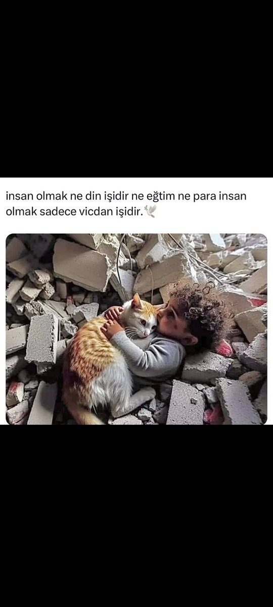 M.Halil Bilgiç47.Menzilimiz Kızılelma,Hedef 2053 (@mhalilbilgi3) on Twitter photo <a href="/Aisezisan/">Ayşe Hatun</a> Ve Âleykümüsselam Aminnnn
Amerikanın dağıttığı yardımları almaya giden Filistinliler katlediliyor 5 günde 305 sivil vahşice katledildi..
Gazze İçin Acil Ateşkes
#ImmediateCeasefireforGaza
Palestinians who went to receive aid distributed by America are being massacred. 305 <a href="/Aisezisan/">Ayşe Hatun</a> Ve Âleykümüsselam Aminnnn
Amerikanın dağıttığı yardımları almaya giden Filistinliler katlediliyor 5 günde 305 sivil vahşice katledildi..
Gazze İçin Acil Ateşkes
#ImmediateCeasefireforGaza
Palestinians who went to receive aid distributed by America are being massacred. 305