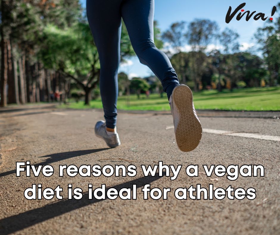 A plant-based diet can shift your fitness results to the next level 🏋️‍♀️ 🏃 Read here 👉 viva.org.uk/health/blog-he… 

#vegan #fitness