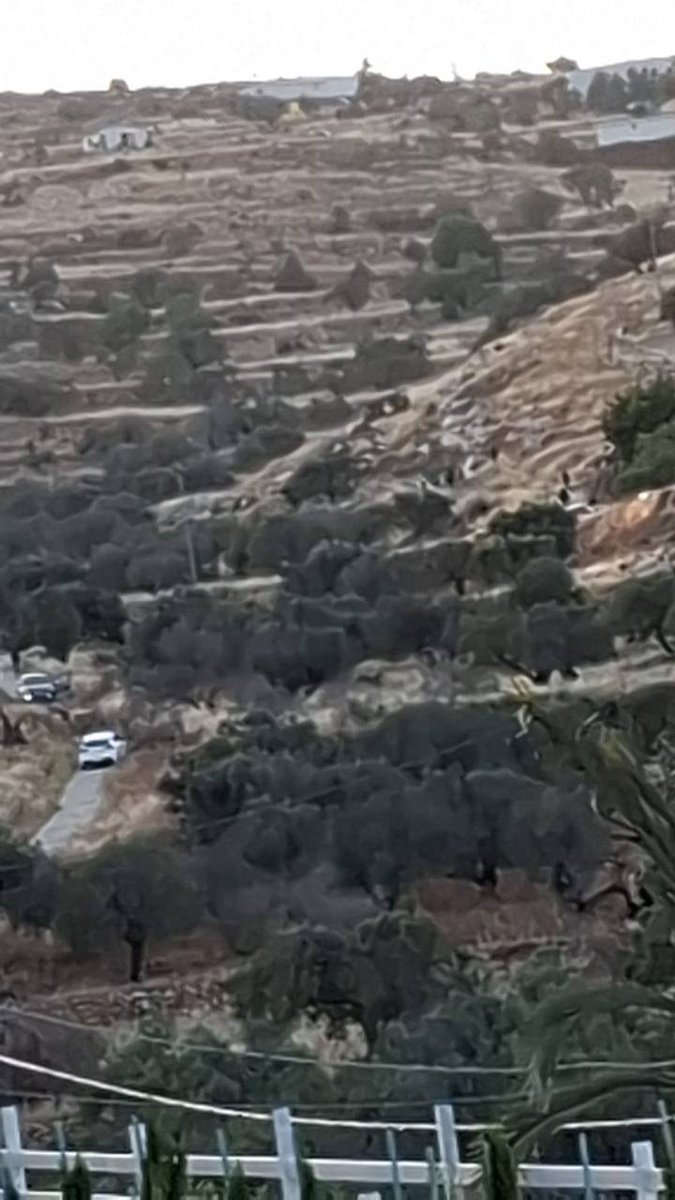 Breaking | Israeli settlers kidnap two Palestinians and assault them while storming the outskirts of Burqa village, east of Ramallah.