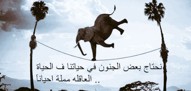 🥳🥳🥳
نحتاج بعض الجنون ...
فـ الحياة العاقلة ممله 👌
#مساء_الخير 
#riyadh #PsgInter #bazarek