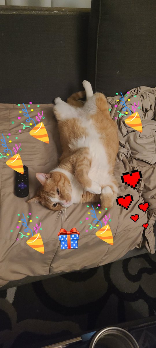 It's mine birthday! Harvs am 5 today. #CatsOfTwitter #CatsOfX #orangetabbymafia