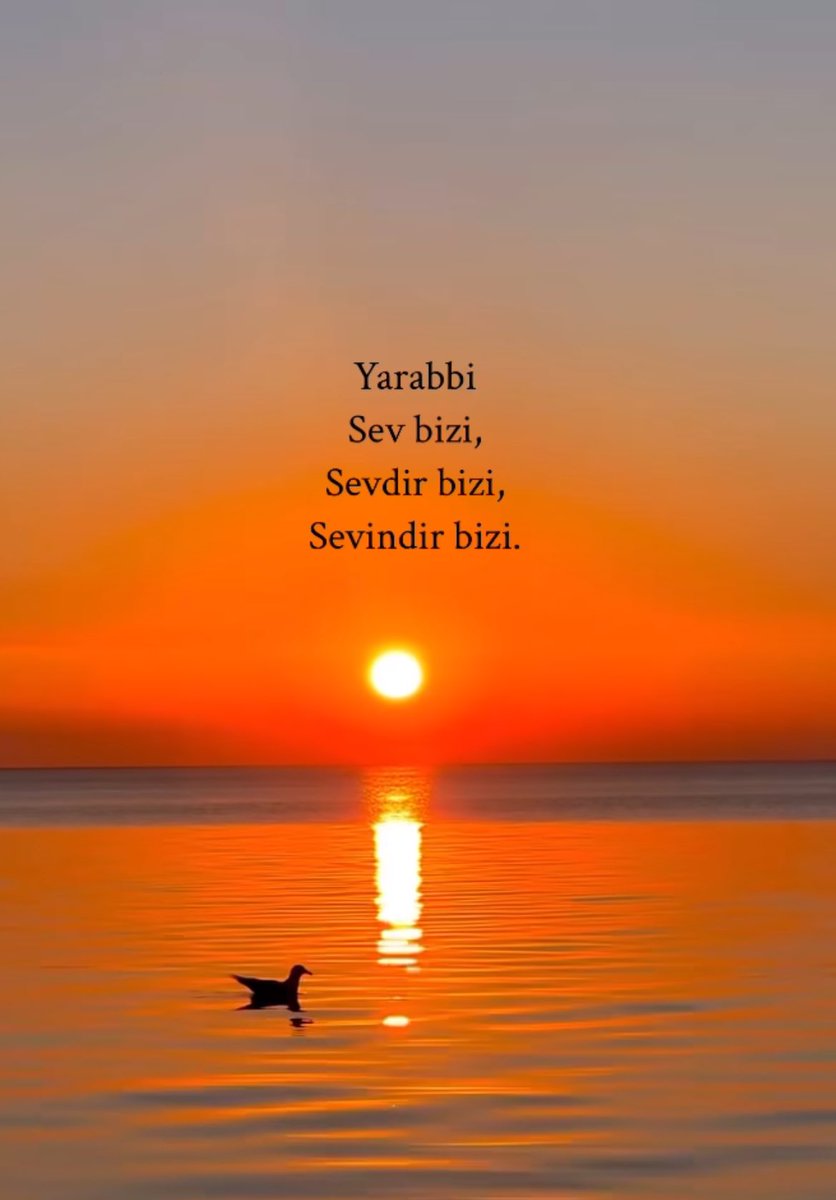 𝔞𝔩𝔟𝔞𝔩𝔦𝔞 (@birmahzunn) on Twitter photo 