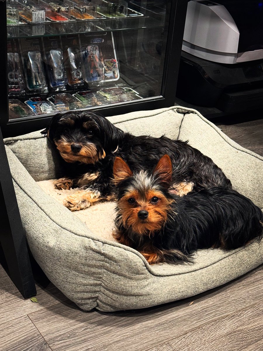 And the first day of summer starts…the same way as fall, winter, and spring did!