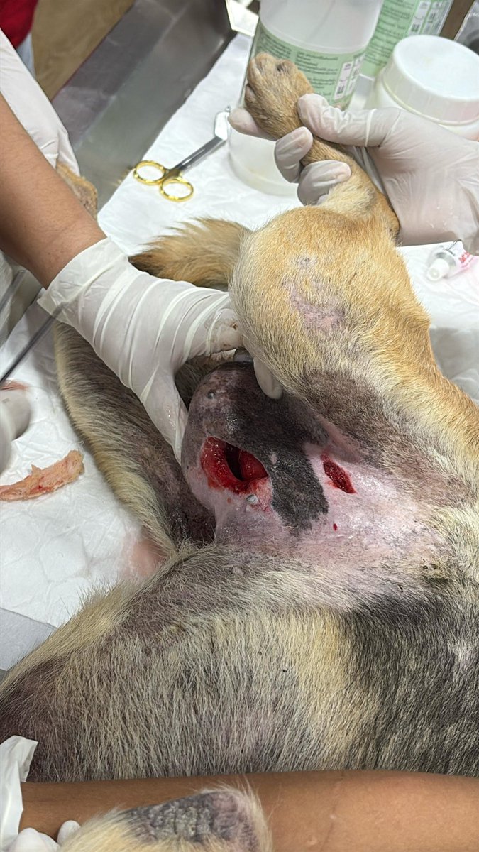 How it started…. (1/2)