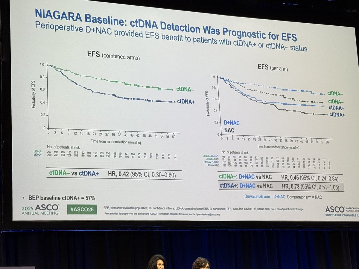 #Niagara study at #ASCO25: Pre-surgery ctDNA is prognostic in perioperative MIBC.
Being ctDNA– ≠ pCR, but if ctDNA+ → chances of pCR are close to zero.
The real challenge: how should we define clinical CR to potentially avoid radical, mutilating surgery?
Brilliant talk by