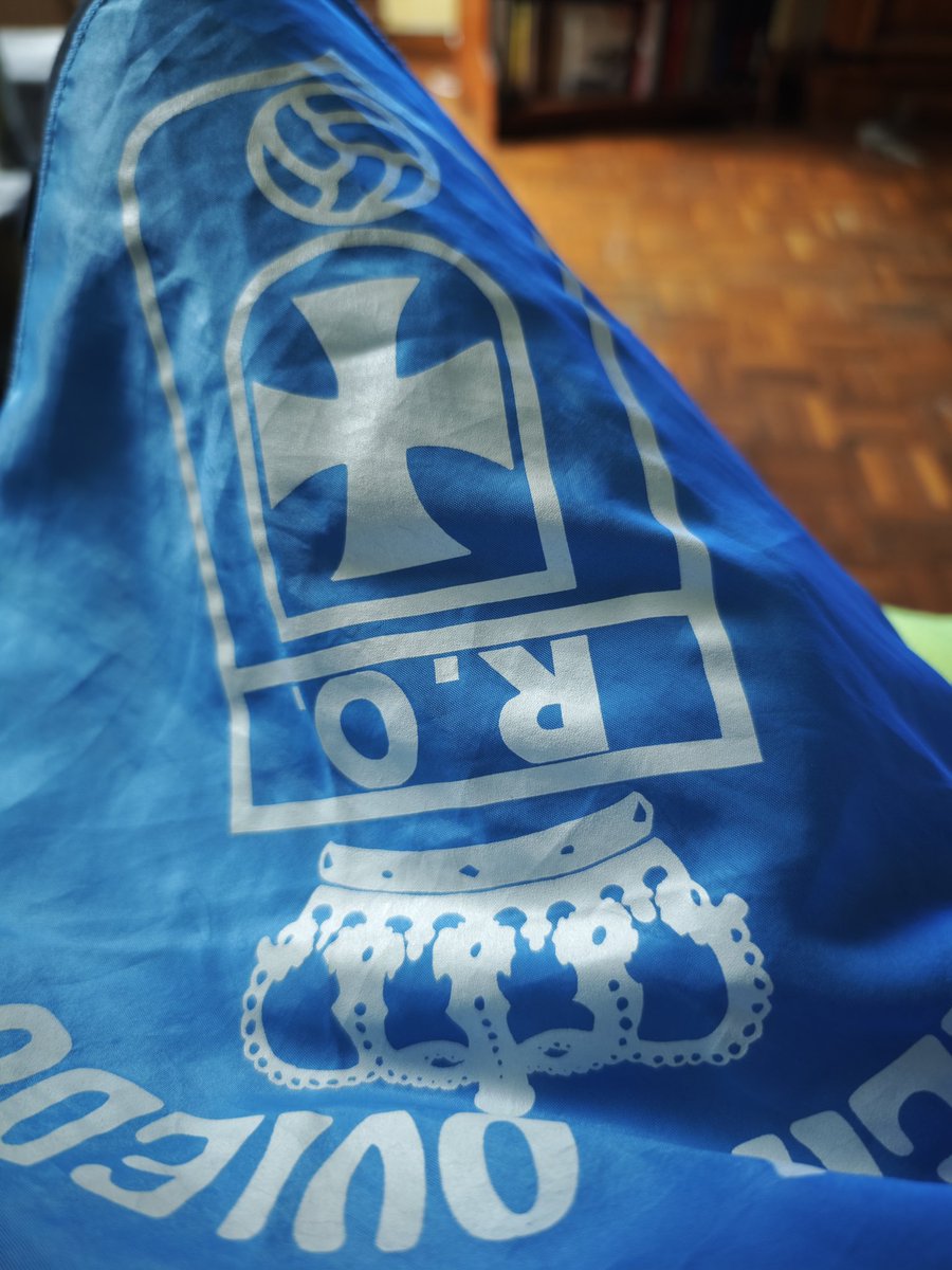 ferrerardura's tweet image. Camisetina y pañuelín preparaos pa entamar a animar 💙💙

#VamosOviedo
#1final
#GanarAlCádiz