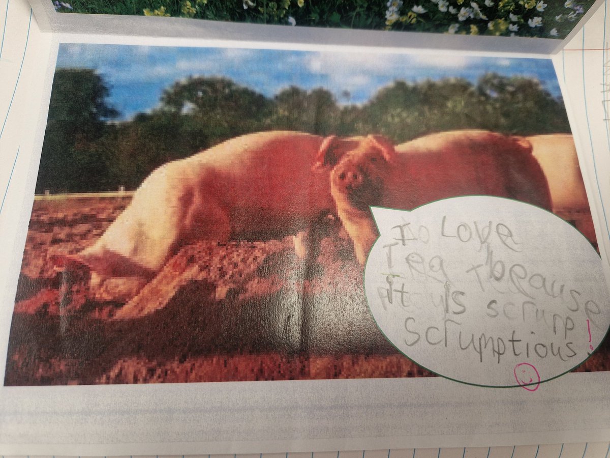 Kirsty Hartnup (@misssingleton8) on Twitter photo We have so much fun with our writing in Heron class.
Our year one children were able to demonstrate all of their fantastic skills and most importantly have fun - there was so much laughter when writing these.
We are passionate writers and I couldn't be prouder!
<a href="/Pawlettprimary/">Pawlett Primary School Academy</a> We have so much fun with our writing in Heron class.
Our year one children were able to demonstrate all of their fantastic skills and most importantly have fun - there was so much laughter when writing these.
We are passionate writers and I couldn't be prouder!
<a href="/Pawlettprimary/">Pawlett Primary School Academy</a>