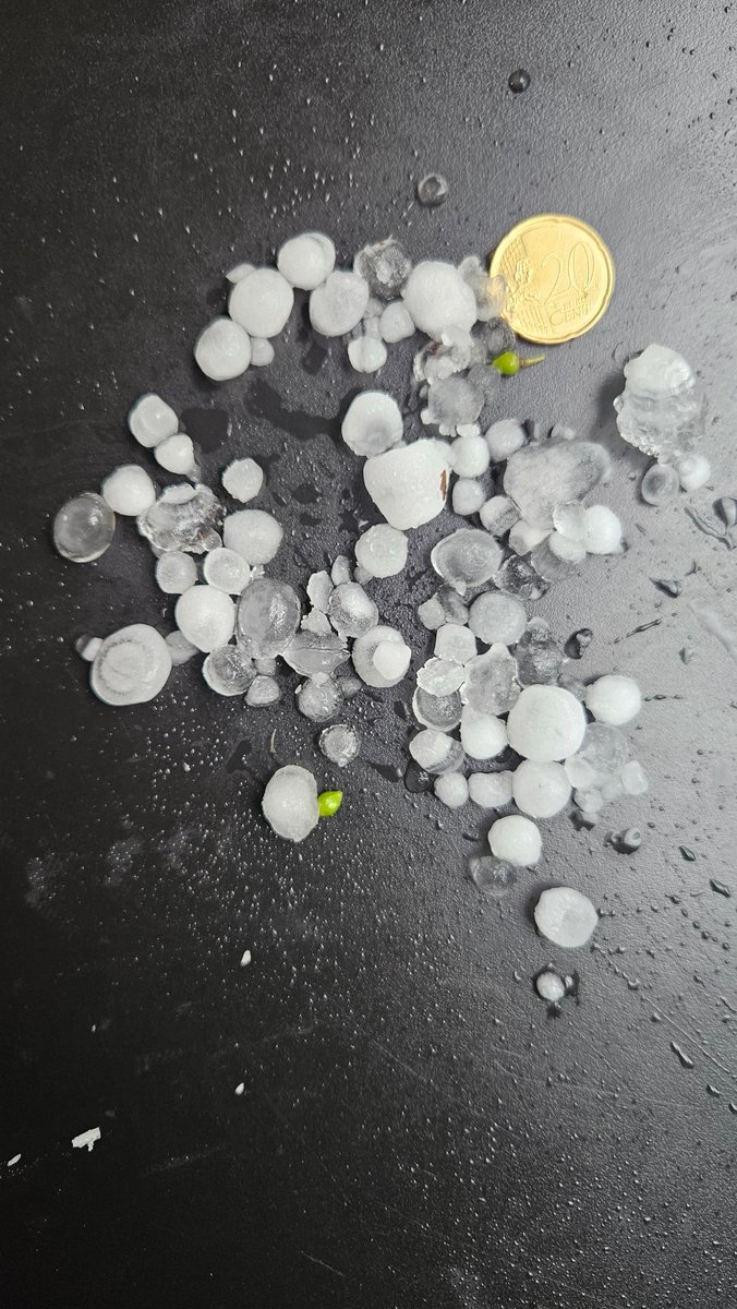 Montse Llasat tweet media