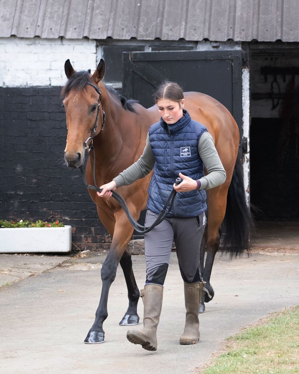 Alpine Girl at a recent stable visit to Star Cottage ✨

#AlpineGirl #OwnersGroup