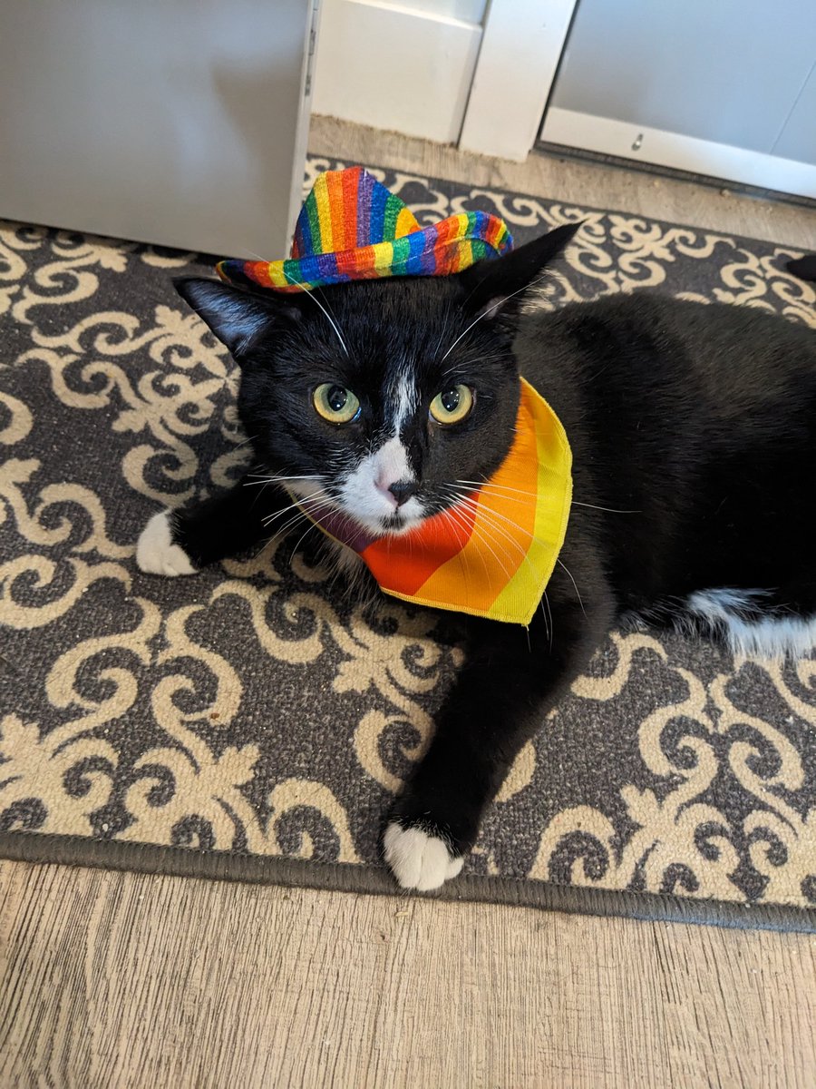 Happy June to those who celebrate