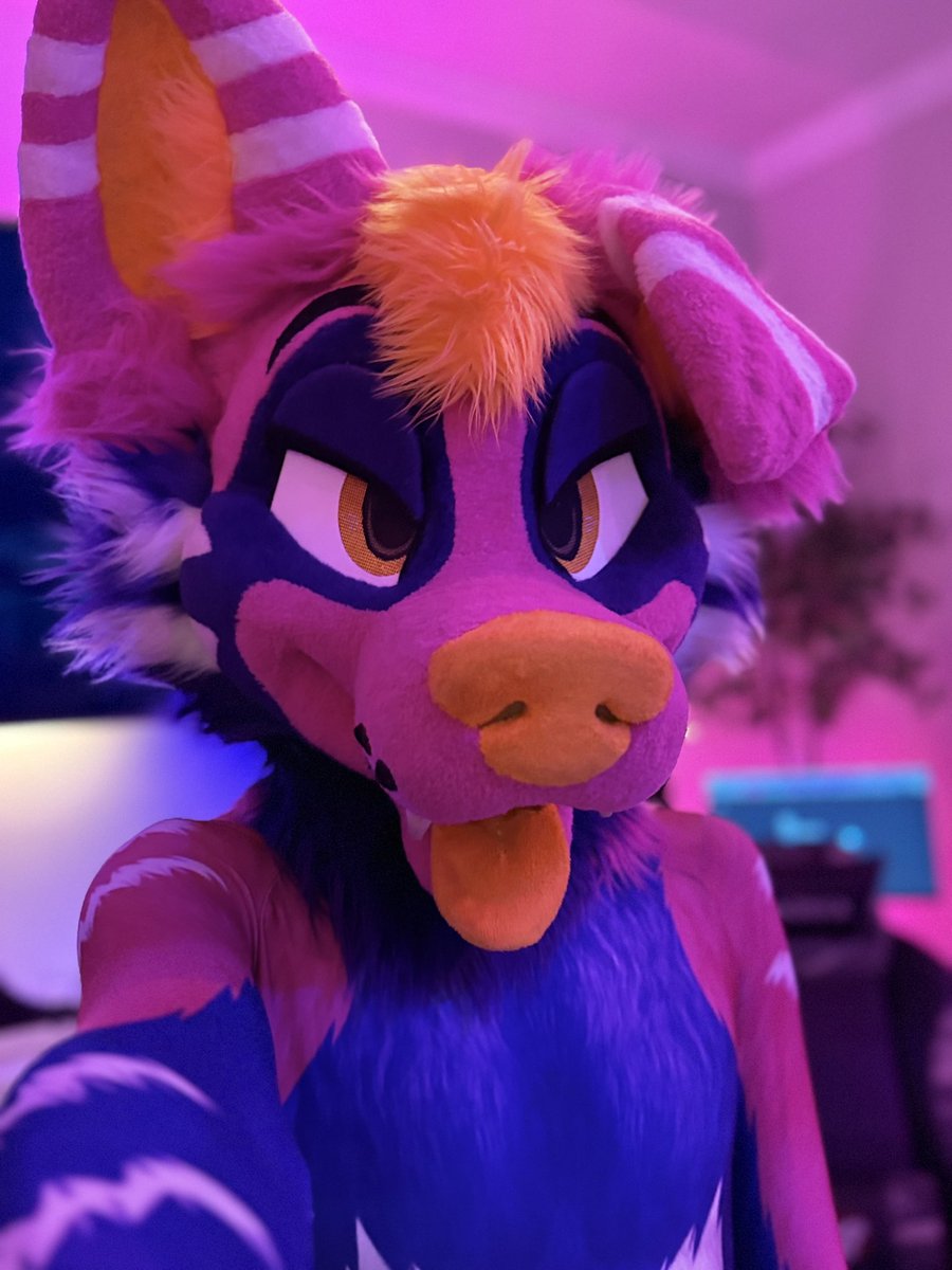 What you see before he woofs n barks on it