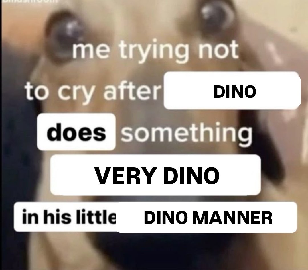 dino's dih (@dinitonin) on Twitter photo 