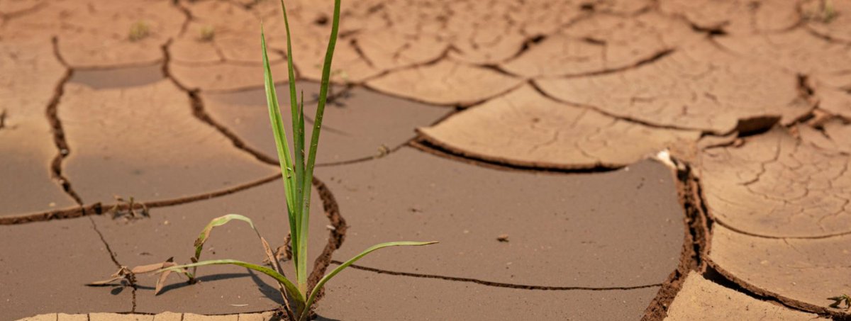 BLHBnl's tweet image. De Europese Centrale Bank (ECB) waarschuwt voor de zware economische  gevolgen van droogte in Europa. Tijdens extreme droogteperiodes kan tot  15 procent van de productie in de eurozone onder druk komen te staan.
vilt.be/nl/nieuws/ecb-…