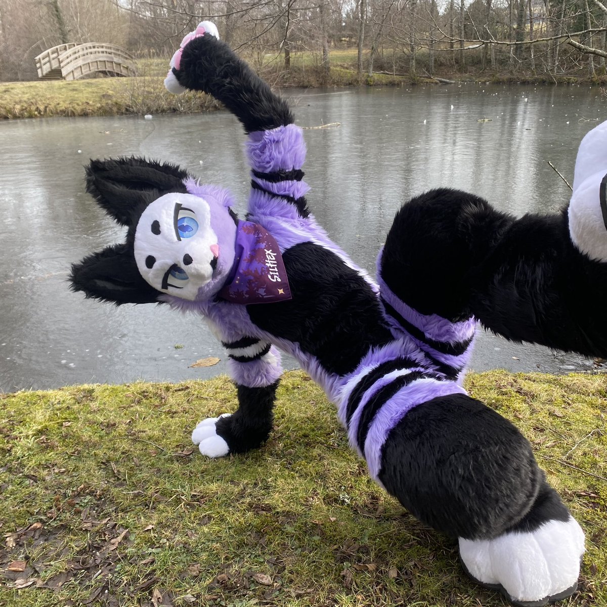 I don’t know it’s so hard to find cool poses for pictures TwT

📸 Xenas_furs 

#furry #fursuit #canthrofur #foxfursuit #fursona