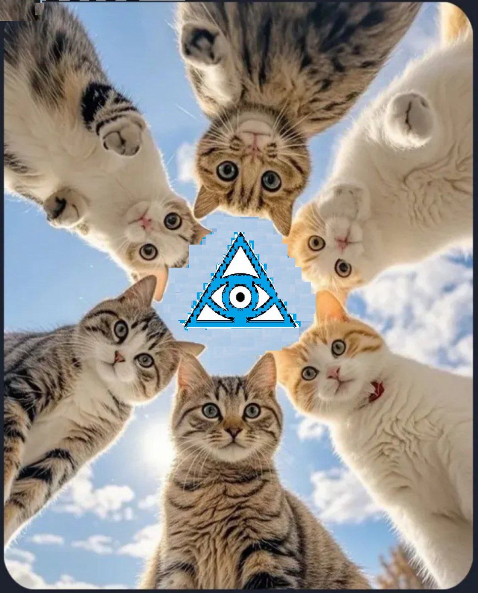 کسی هست از گربه بدش بیاد؟ واقعا موجودات کیوت و با مزه ای هستن و انرژی مثبت از چهرشون می‌باره.
<a href="/ATTNtoken/">Attention 👁️</a> 
<a href="/GiveRep/">GiveRep</a> 
x.com/mahdi89492108/…