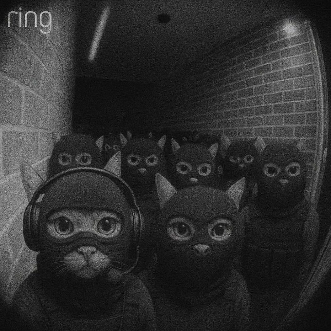 Gang, there are 15,000 of us🥷 $Mask