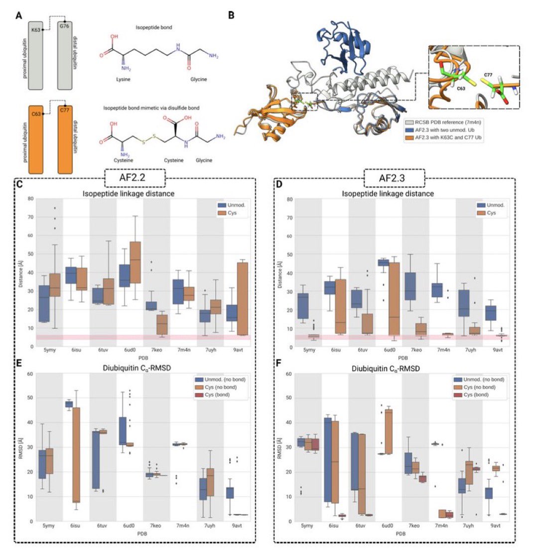 mrkhanmwt's tweet photo. AlphaFold modeling of polyubiquitin complexes and covalently linked proteins

Link 🔗 https://t.co/awqJV4gchm
#Alpha #Fold https://t.co/IFJHCE7G50